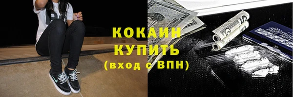 ПСИЛОЦИБИНОВЫЕ ГРИБЫ Новозыбков