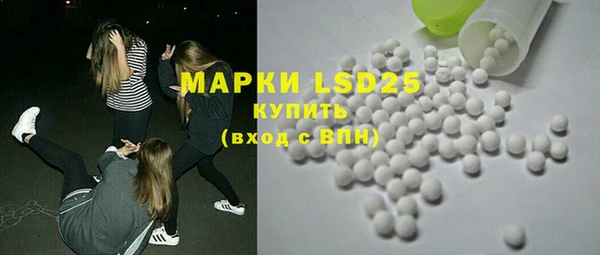 ПСИЛОЦИБИНОВЫЕ ГРИБЫ Новозыбков