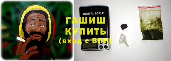 ПСИЛОЦИБИНОВЫЕ ГРИБЫ Новозыбков