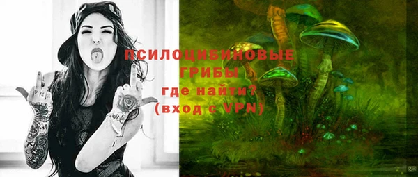 ПСИЛОЦИБИНОВЫЕ ГРИБЫ Новозыбков