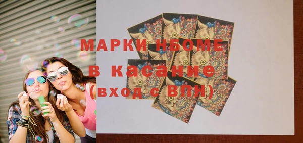 индика Киреевск