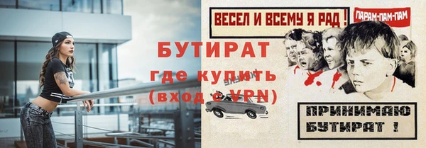 ПСИЛОЦИБИНОВЫЕ ГРИБЫ Новозыбков