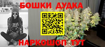 PSILOCYBIN Дубна