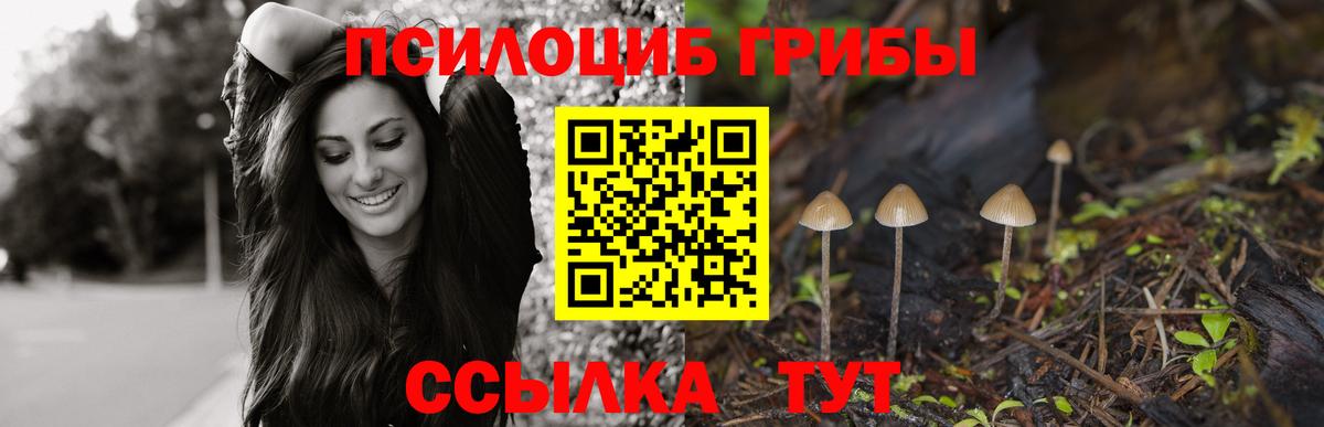 Галлюциногенные грибы мухоморы  Вход с VPN  Лиски 