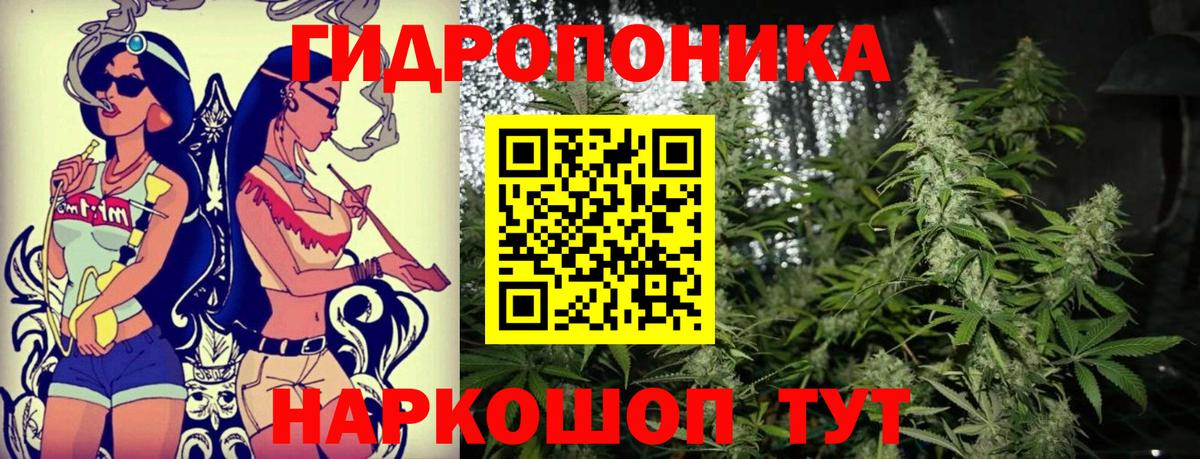 Бошки марихуана сатива  Каннабис план  Вход с VPN  МАРИХУАНА план  Каннабис ГИДРОПОН  Лиски 